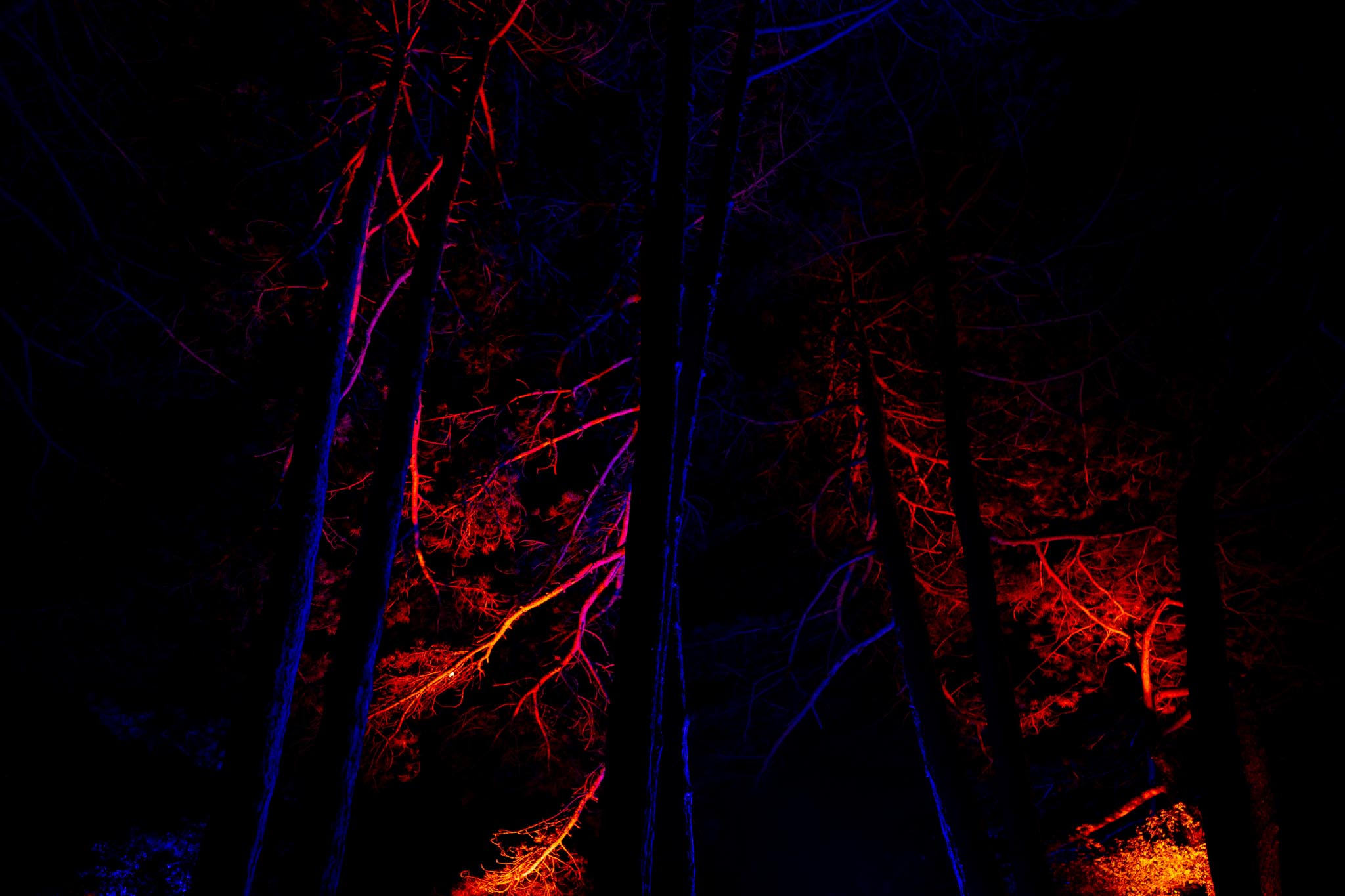 L.POCHET_@luciepng-091