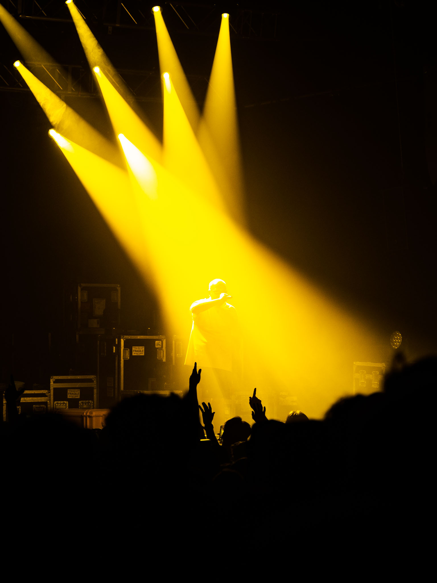 @luciepng – L.POCHET-83